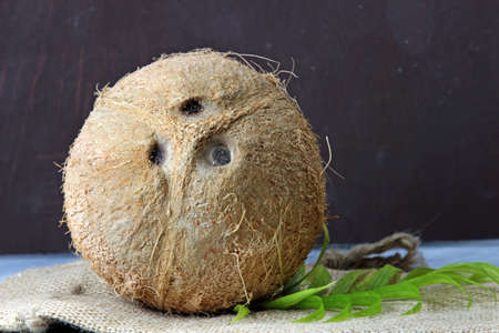 An Unbroken Coconut shell with green leaves on a burlap clothの写真素材