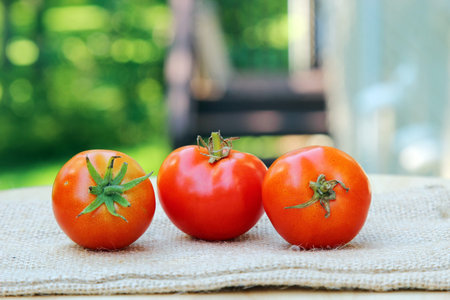 Three Cherry tomatoes in a row on a burlap cloth with shallow depth of field, copy spaceの写真素材