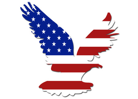 US flag eagle symbol/  on a solid backgroundの写真素材