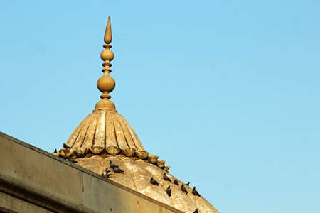 The Dome at Diwan E khas building with Pigeons in Red Fort, Delhiの写真素材