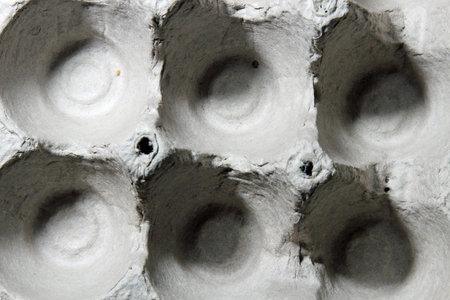 Top view of  empty Egg carton filling the frame.