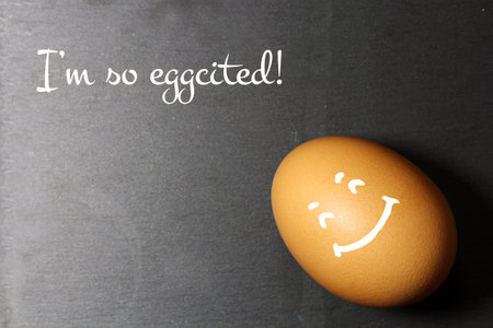 Top view  of a brown eggs on a black background with copy space
