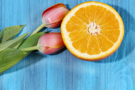 A cut up Orange fruit with Tulips on a blue wooden background; Top view.の写真素材