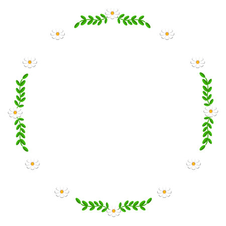 White Daisies on a white background as frameのイラスト素材