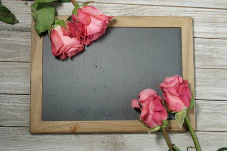Pink Roses on a grey slate with copy space for a message.の写真素材