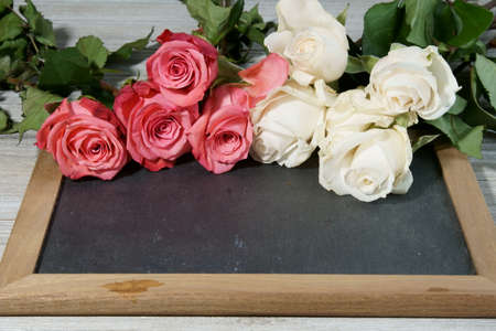 Pink and white Roses on a grey slate with copy space for a message.の写真素材