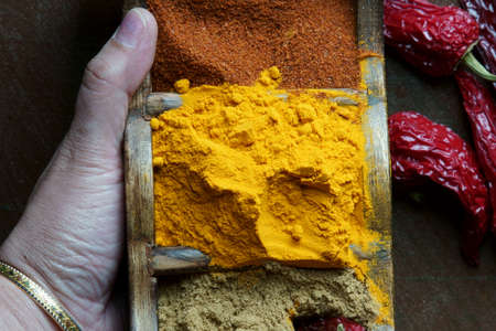 A hand holding a spices box with turmeric powder, coranider powder, and chili powder.の写真素材