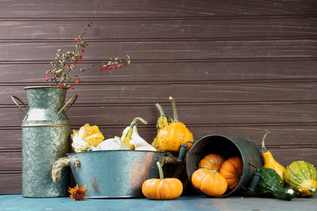 Still life of a Halloween and fall or Autumn decoration different kinds of squashes and Pumpkins.の写真素材