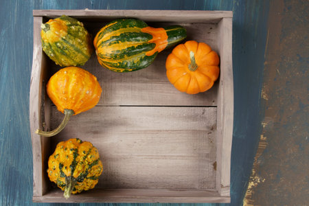 Overhead view of different kinds of Pumpkins or Squashes in a wooden tray with copy space.