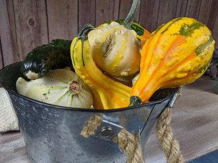 Top down view of Pumpkins still life in Autumn season.の写真素材