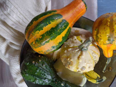 Top down view of Pumpkins still life in Autumn season.の写真素材