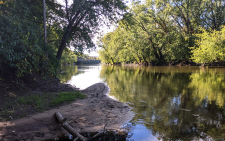A river flowing through the woods with reflection of trees in the river water.