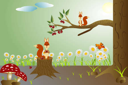Squirrel on a tree in the forest eating fruits and berries.のイラスト素材