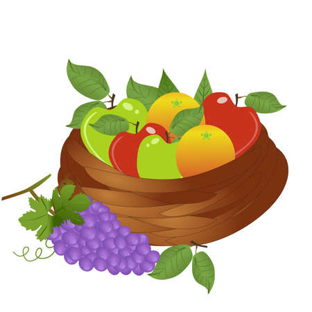 A basket of fruits like Apples red and green Orange and grapes isolated on white.のイラスト素材