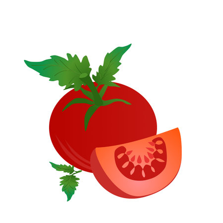 Whole Red Tomato with a cut up Tomato, isolated on white backgroundのイラスト素材