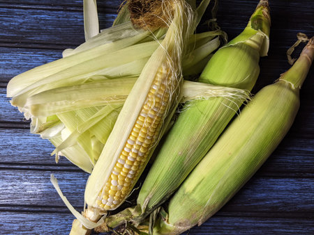 Uncooked Sweet corn on a wooden background