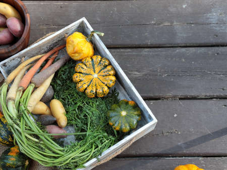 Top down view of multicolored carrots, fingerling Potatoes and Pumpkins in Autumn season on a wooden background with copy space.の写真素材