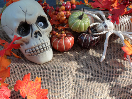 A still life presentation of a skull, spider and Autumn leaves with copy space. Halloween Theme.