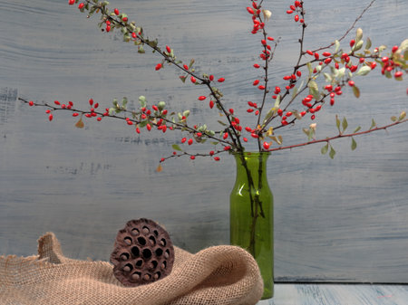 Branches of red Barberries in a vase on grey grunge backgroundの写真素材
