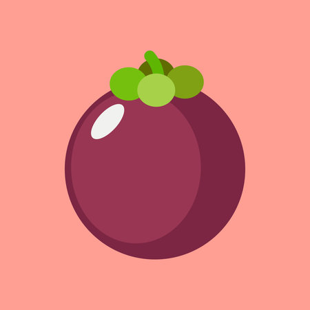 mangosteen flat design vector illustration. Exotic fruit icon realistic fresh summer Vector illustration citrus mangosteen. Fruit and Healthy Foodのイラスト素材