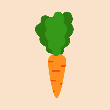 fresh Carrot, vegetable, food, vector flat style. Vector orange flat carrot icon. Vector vegetable symbol in flat style.のイラスト素材