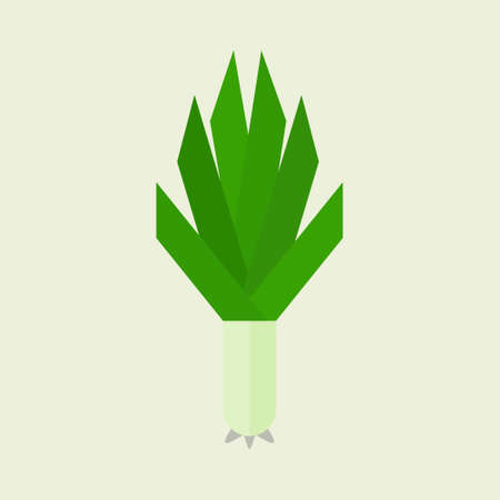 scallion green onion flat design. Healthy food vector illustration. Organic meal concept. Chinese Food and Restaurant Icon-Set.のイラスト素材