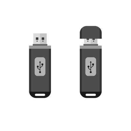 USB flash drive flat design vector illustration isolated on white background. flashdisk vector illustrationのイラスト素材