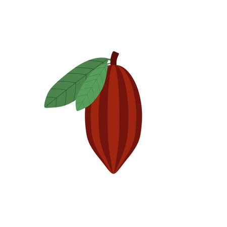 cocoa beans flat design vector illustrationのイラスト素材