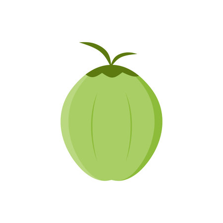 Natural Young Coconut flat design vector illustration. fresh coconut logo suitable for summer, vector design and isolated on white backgrounds.のイラスト素材