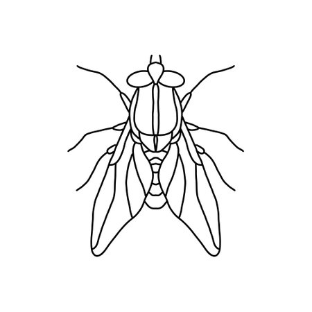 fly insect outline icon.fly line art vector illustration. Doodle line graphic design. Black and white drawing insect.のイラスト素材