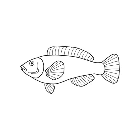 black and white fish vector illustration. Commercial fishes. Fresh raw edible cartoon fish. Fish Silhouette Seafood Productのイラスト素材