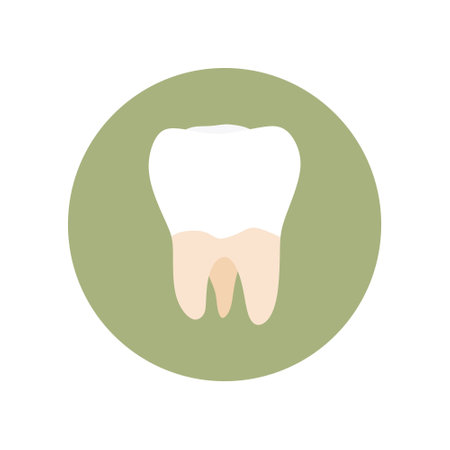 molar teeth flat design vector illustration. Oral medicine, stomatology, dental medicine concepts. White tooth. Modern flat design graphic element. Vector illustrationのイラスト素材