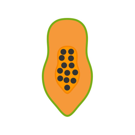 Half Papaya Flat Design Fruit Icon. Minimalist illustration representing a papaya cut in half, showing its orange pulpのイラスト素材