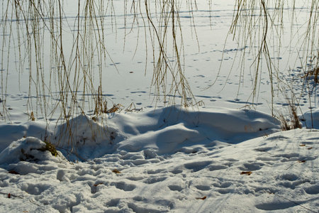 snow on the lakeの写真素材