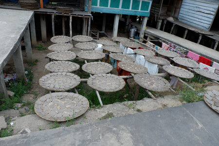 The rice terrace of a traditional house.