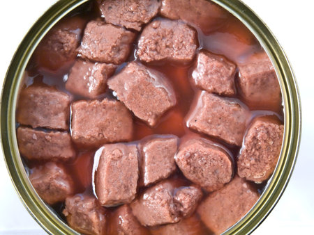 Opened canned food の写真素材