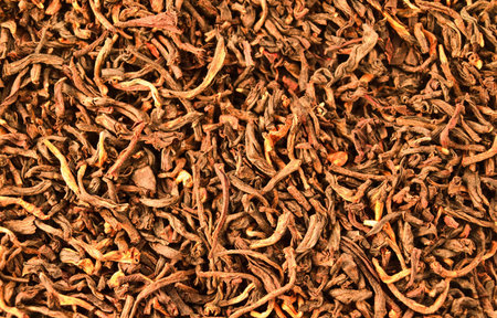  tobaccoの写真素材