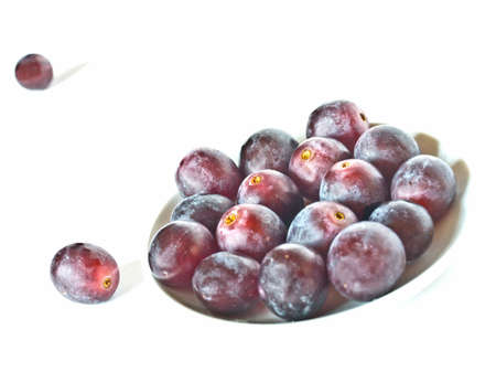 the Red grapes isolatedの写真素材