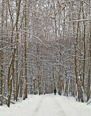lone man in wintry wood roadの写真素材