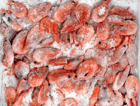 frozen boiled prawns, close-up     の写真素材