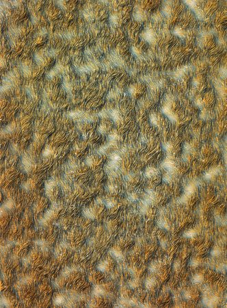 Abstract tussock marsh 