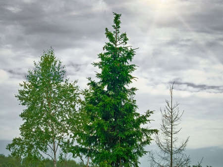 Northern landscape の写真素材