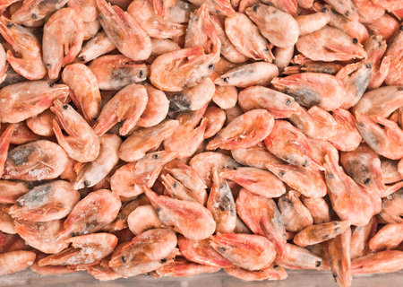 frozen shrimpsの写真素材