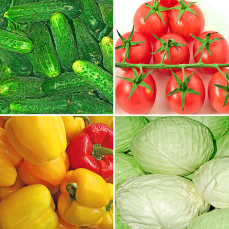 4 vegetables, setの写真素材