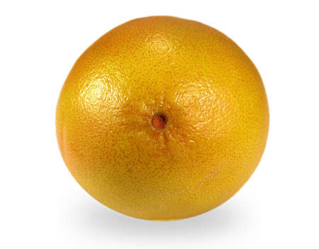 Citrus fruit, isolatedの写真素材