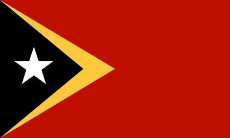 East- Timor flagのイラスト素材