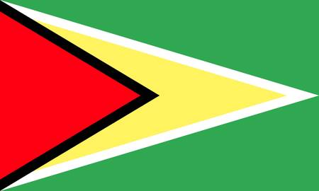 Guyana flagのイラスト素材
