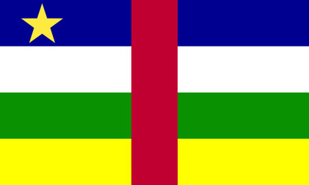 the Central African Republic flagのイラスト素材