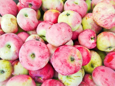 red apples; closeupの写真素材