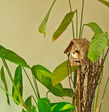 floral still-life の写真素材